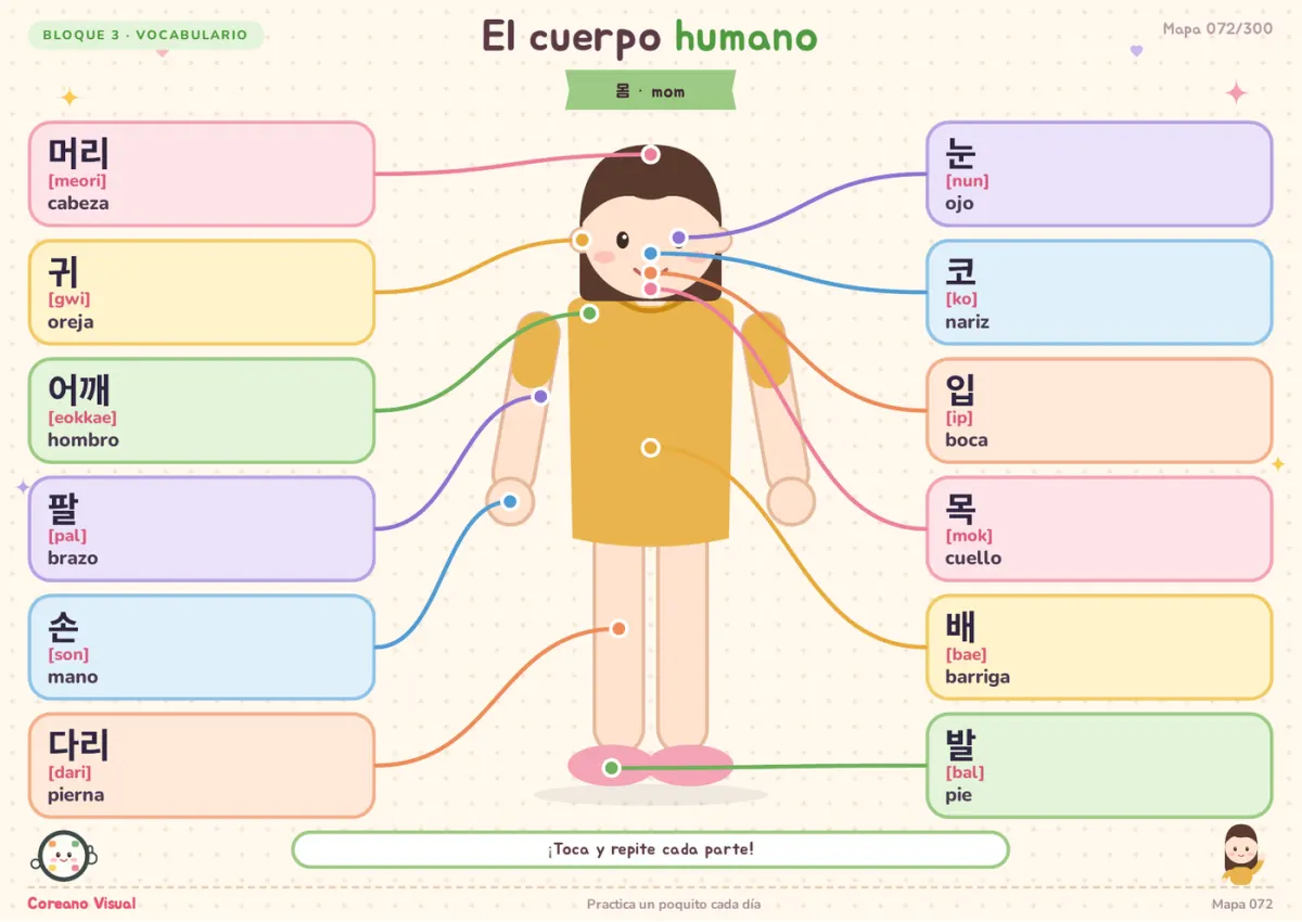 Vocabulario visual de las partes del cuerpo